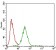 ZEB1 Primary Antibody MP30548 [M2A8H3]
