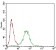 CD22 Primary Antibody MP30550 [M2H1C4]