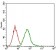 EGFR Primary Antibody MP30551 [M5E10D3]