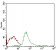 SYCP3 Primary Antibody MP30554 [M6F9C5]