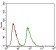 DNM1L Primary Antibody MP30569 [M4A4C7]