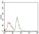 RB1 Primary Antibody MP30592 [M2A11D4]