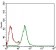 NBN Primary Antibody MP30608 [M7E4C2]