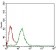 NBN Primary Antibody MP30612 [M7E4A2]