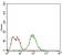 Bpifa2 Primary Antibody MP30613 [M2B4F5]