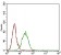 NT5E Primary Antibody MP30614 [M4G6E3]