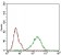 CDKN2A Primary Antibody MP30616 [M1D7D2A1]