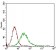 CD68 Primary Antibody MP30618 [M3F7C6]