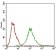 BACE1 Primary Antibody MP30625 [M3C1C3]