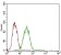 EPCAM Primary Antibody MP30630 [M7B5C10]