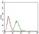 PLA2G12A Primary Antibody MP30631 [M3H2C11]