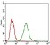 EPCAM Primary Antibody MP30635 [M3H6A6]