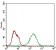 BAD Primary Antibody MP30637 [M1G5B3]