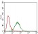 GAB2 Primary Antibody MP30639 [M1F6D9]