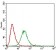 DAPK3 Primary Antibody MP30641 [M2H1D11]