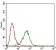 MMEL1 Primary Antibody MP30647 [M2D2H5]