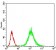 MAP2K5 Primary Antibody MP30650 [M5H11B10]
