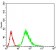 PPP1CB Primary Antibody MP30653 [M6G10C1]