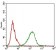 SDC1 Primary Antibody MP30658 [M1A3A3]