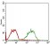 RELB Primary Antibody MP30663 [M2E4B1]