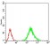 RANBP9 Primary Antibody MP30670 [M6E10H5]