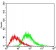 PPARGC1B Primary Antibody MP30673 [M6C3F6]