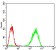 EIF2AK2 Primary Antibody MP30680 [M6H3A10]