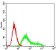 CSNK2B Primary Antibody MP30691 [M2F12F3]