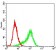 RPS6KA2 Primary Antibody MP30694 [M3C4C8]