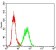 XRCC6 Primary Antibody MP30698 [M7A9E7]