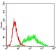 VIL1 Primary Antibody MP30700 [M3E5G11]