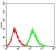 PTPN1 Primary Antibody MP30702 [M4F8F11]