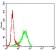 GSK3B Primary Antibody MP30705 [M3D6B4]