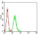 APP Primary Antibody MP30709 [M5H10A10]