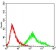 CCNA2 Primary Antibody MP30714 [M6B4D11]