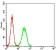 APBB1IP Primary Antibody MP30720 [M7E7A3]