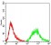 PTPN1 Primary Antibody MP30721 [M4F11B9]