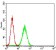 SEMAPHORIN-3A Primary Antibody MP30724 [M1G6F9]