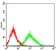 SNAI2 Primary Antibody MP30730 [M4B6D5]