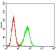 TFF2 Primary Antibody MP30731 [M4G7C3]