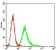 ANPEP Primary Antibody MP30732 [M1C7D7]