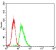 HH3 Primary Antibody MP30741 [M6D3B9]