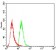 SLINGSHOT-1L Primary Antibody MP30743 [M1A5C8]