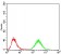 MDM2 Primary Antibody MP30749 [M5A10A9]