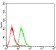MDM2 Primary Antibody MP30750 [M6B12D2]