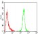 ERBB4 Primary Antibody MP30755 [M5G6B4]