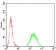 TIP60 Primary Antibody MP30766 [M2A11H7]