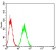 LDLR Primary Antibody MP30767 [M1B10H10]