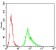 SELL Primary Antibody MP30769 [M8C8F3]