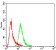 CSF1R Primary Antibody MP30773 [M4C9G2]